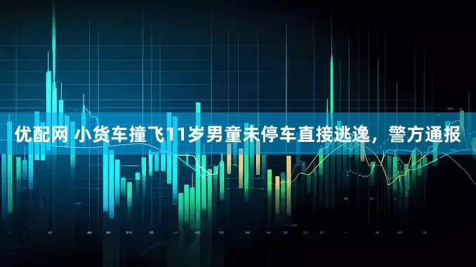 优配网 小货车撞飞11岁男童未停车直接逃逸，警方通报